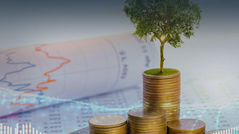 成都品牌战略咨询公司费用